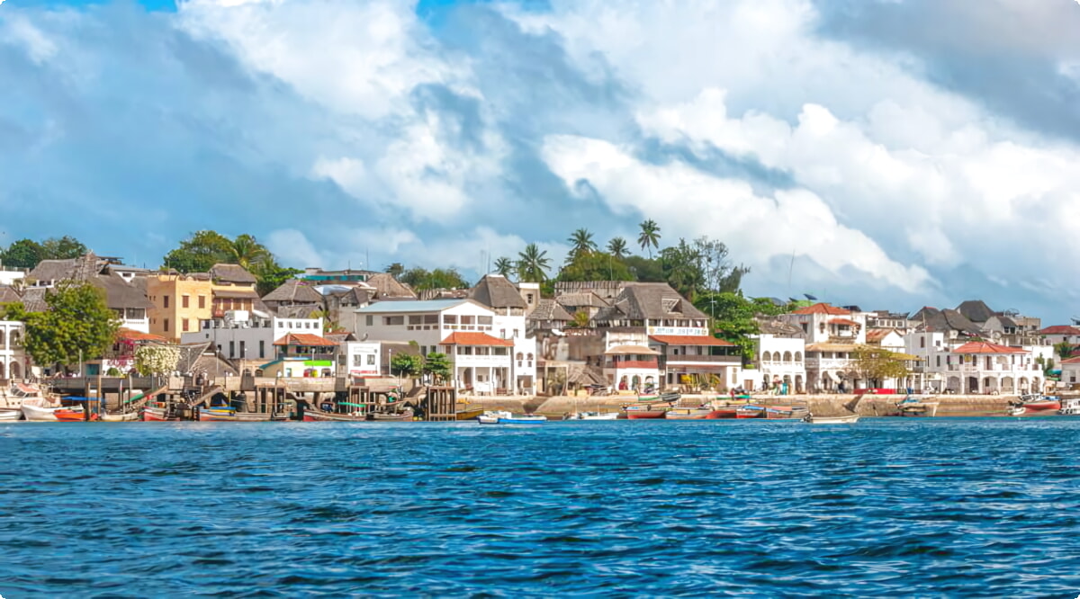 Il nostro inventario include una vasta gamma di veicoli.